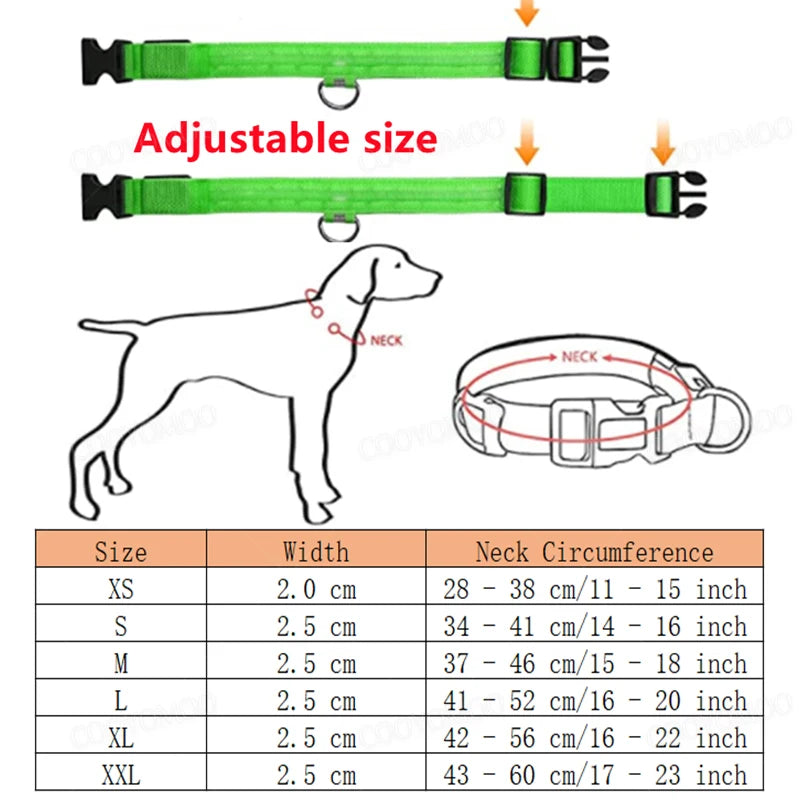 Collier de charge à LED Shoous pour animaux de compagnie, prévention de la perte de chien, préventio