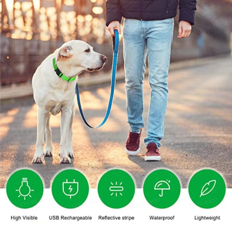 Collier de charge à LED Shoous pour animaux de compagnie, prévention de la perte de chien, préventio